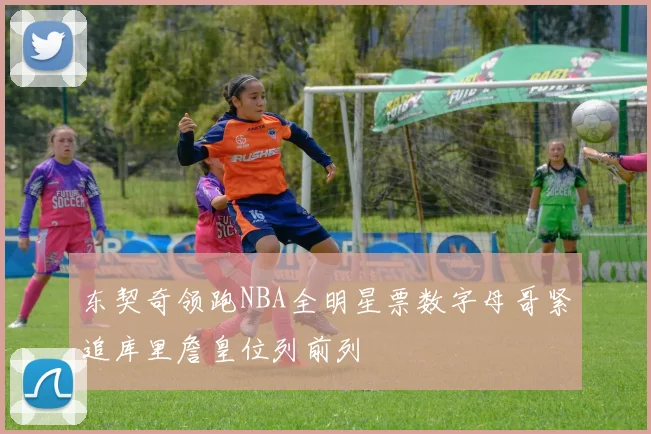 东契奇领跑NBA全明星票数字母哥紧追库里詹皇位列前列