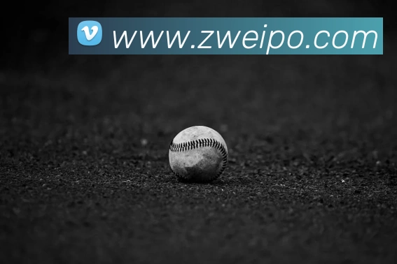 世界杯官网平台平台生态图